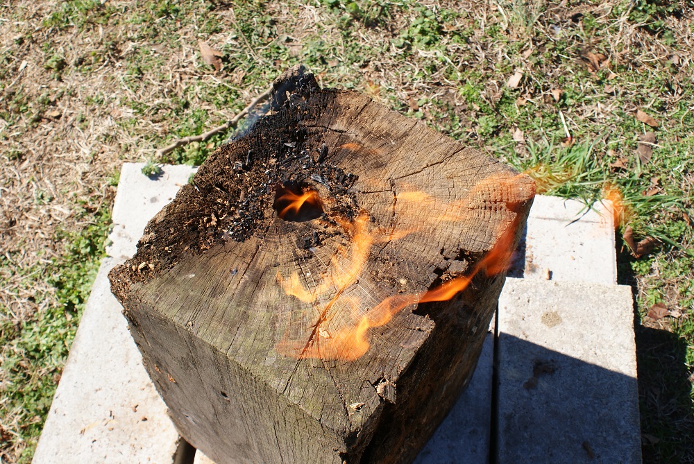 fire burning in log