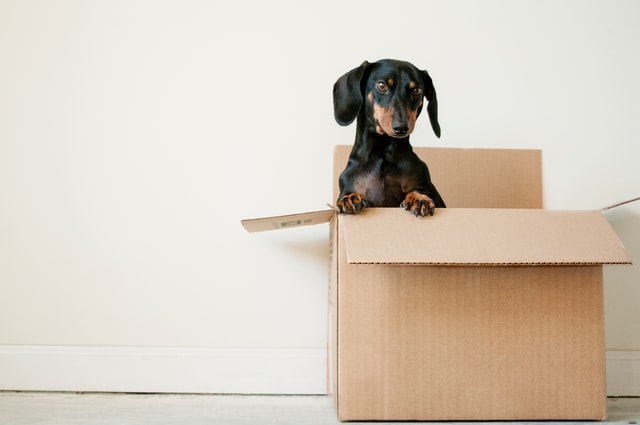 Avoid these 10 serious mistakes when moving